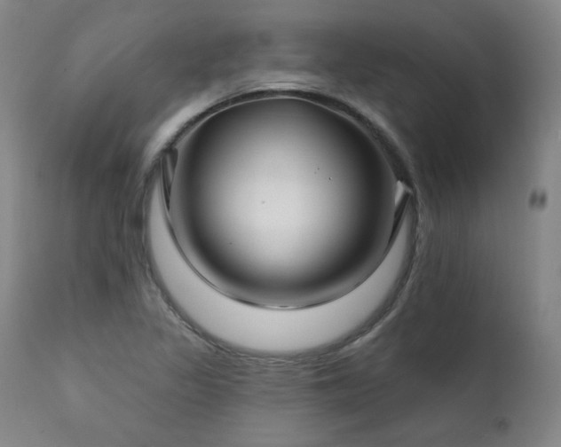 X0000111821317200907231308