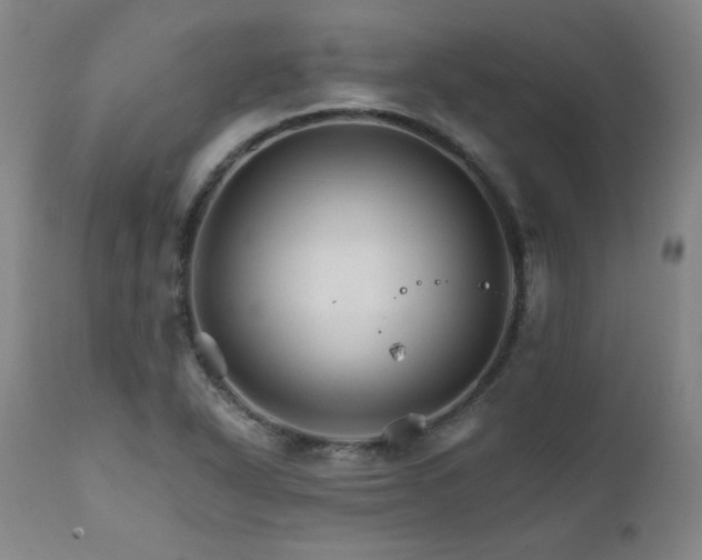 X0000111821318200907231308