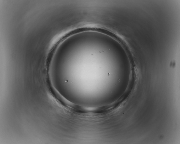 X0000111821319200907231308