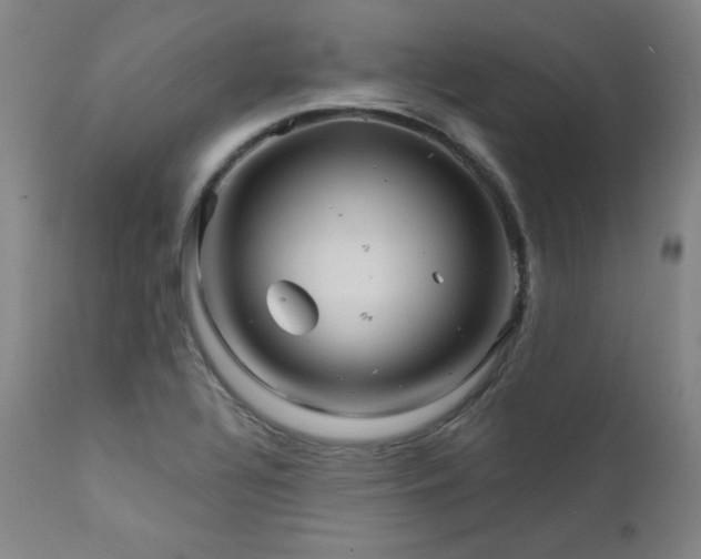 X0000111821320200907231308