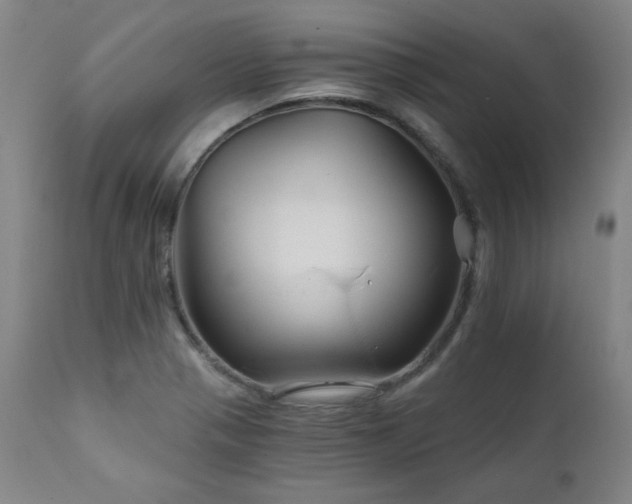 X0000111821321200907231308