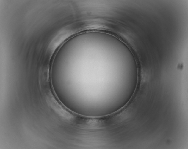 X0000111821322200907231308