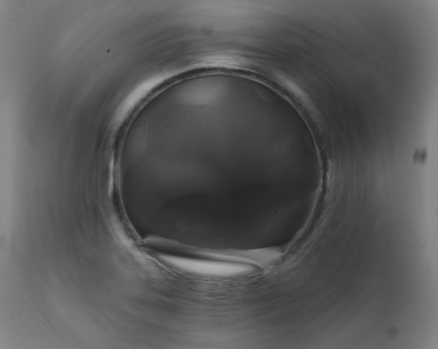 X0000111821323200907231308