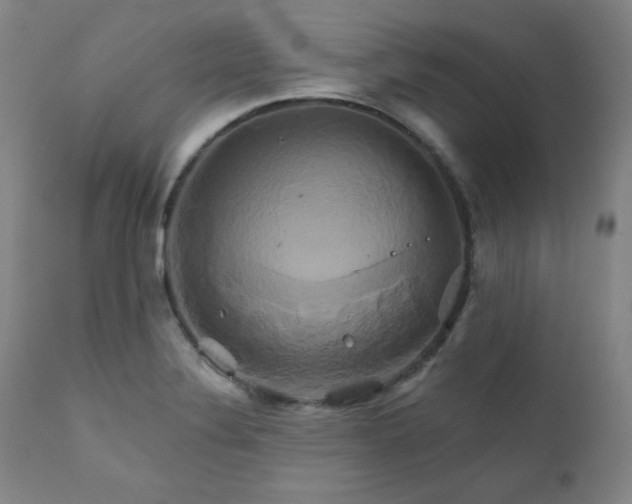 X0000111821324200907231308