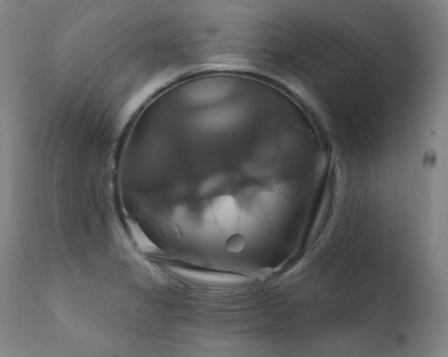 X0000111821325200907231308