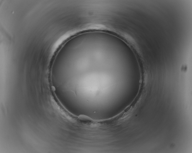 X0000111821326200907231308