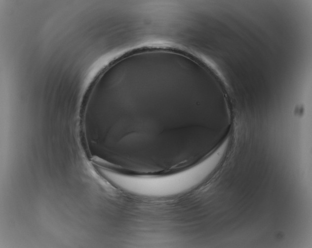 X0000111821327200907231308