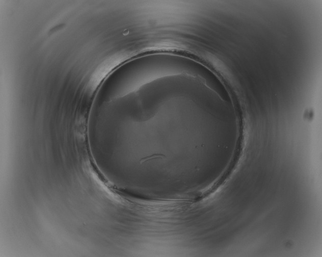 X0000111821329200907231309