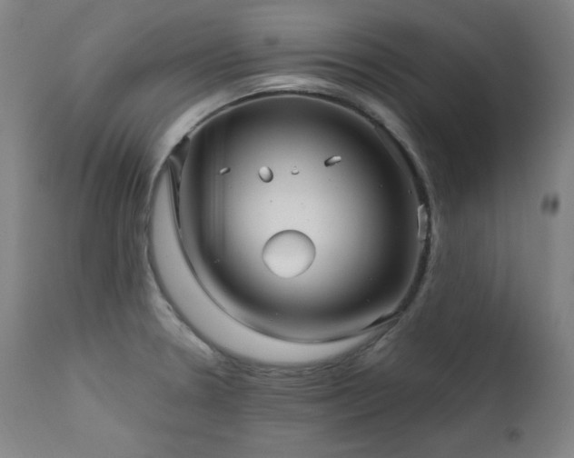 X0000111821330200907231309