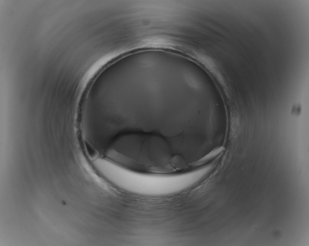 X0000111821331200907231309