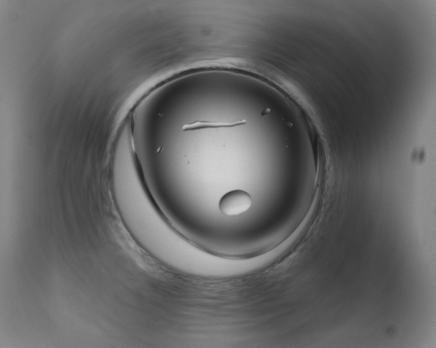 X0000111821332200907231309