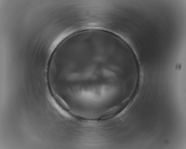 X0000111821333200907231309