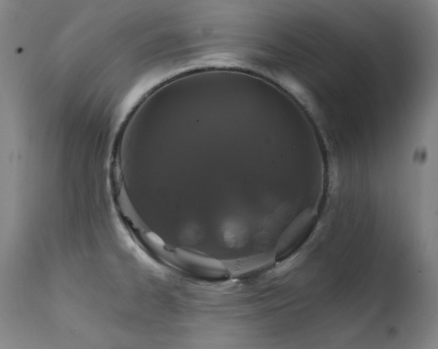 X0000111821334200907231309