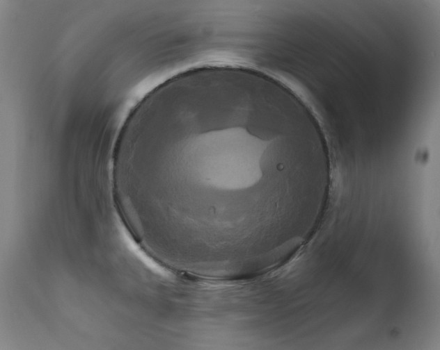 X0000111821335200907231309