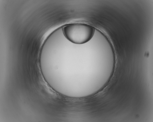 X0000111821336200907231309