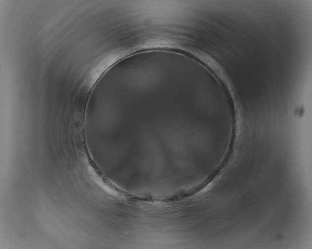 X0000111821337200907231309