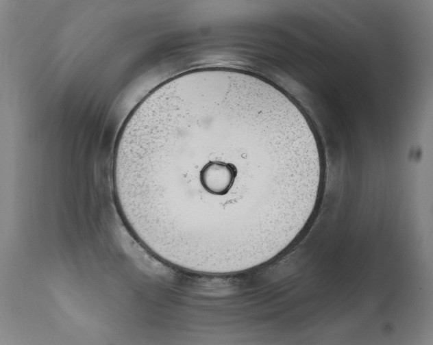 X0000111821338200907231309