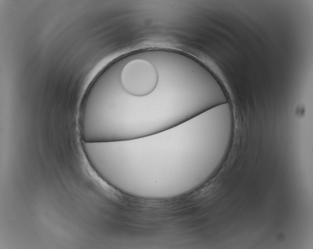 X0000111821339200907231309