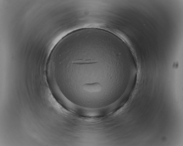 X0000111821340200907231309