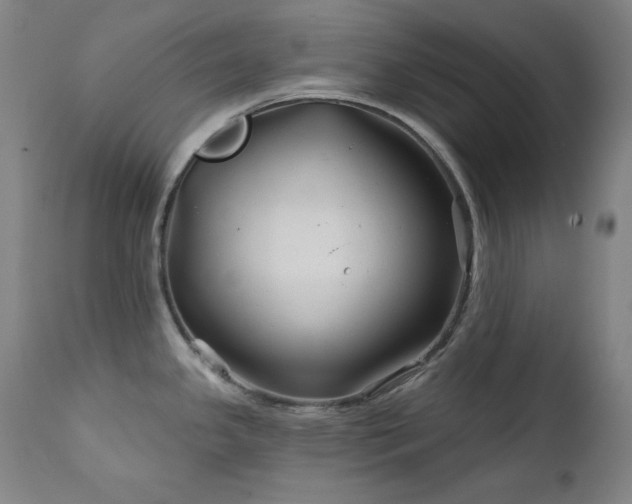 X0000111821341200907231309