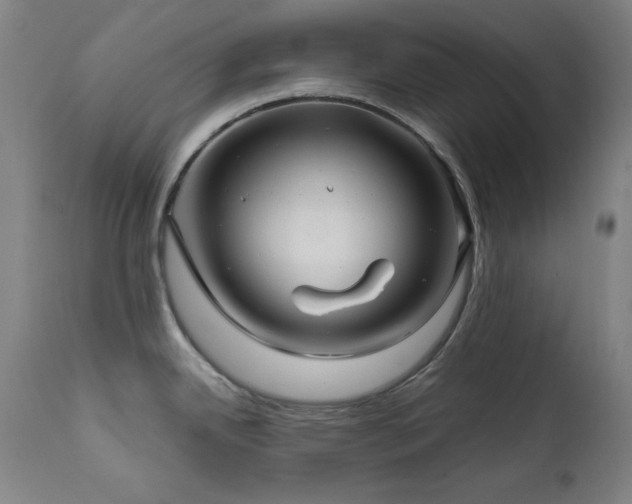 X0000111821342200907231309