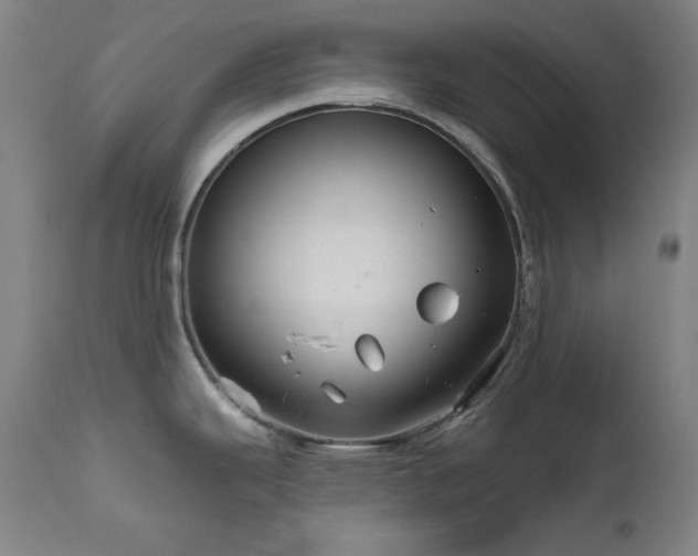 X0000111821343200907231309