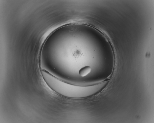 X0000111821344200907231309