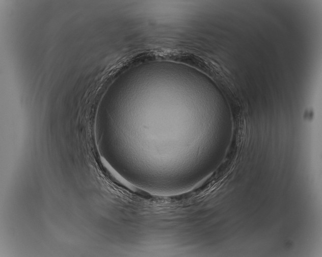X0000111821345200907231308