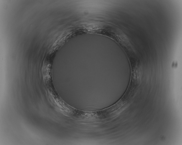 X0000111821346200907231308