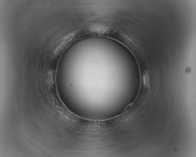 X0000111821347200907231308
