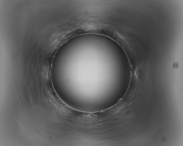 X0000111821348200907231308