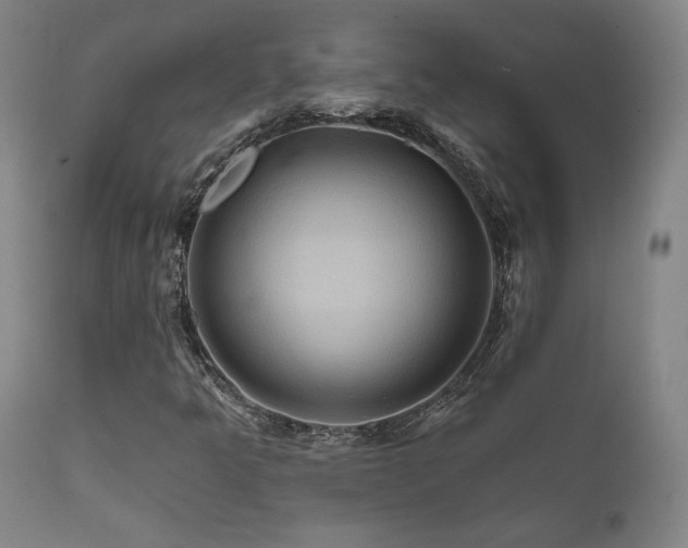 X0000111821349200907231308