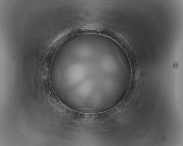 X0000111821350200907231308