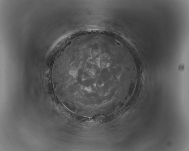 X0000111821351200907231308