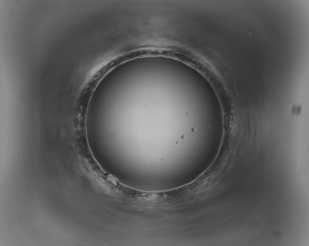 X0000111821352200907231308