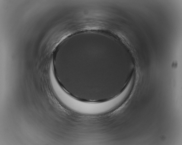 X0000111821353200907231308