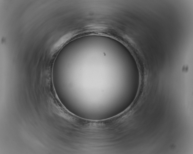X0000111821354200907231308