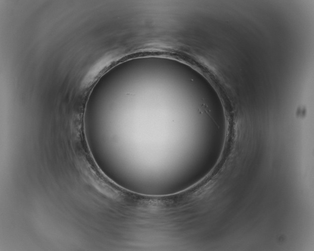 X0000111821355200907231308