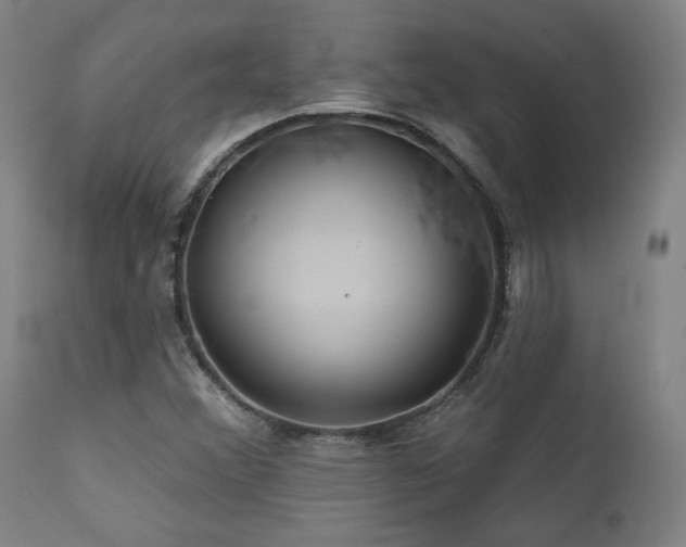 X0000111821356200907231308