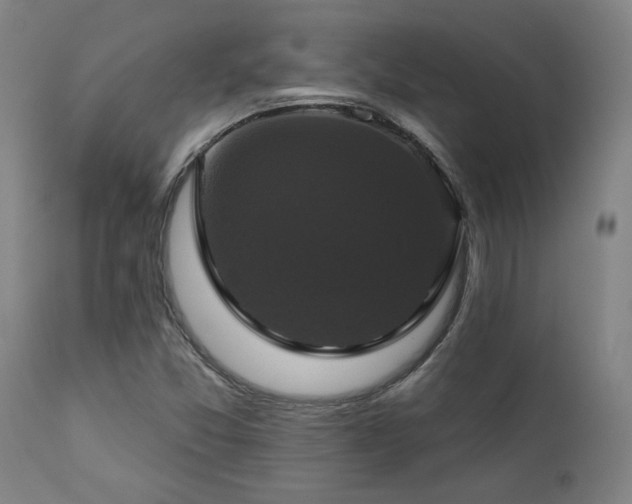 X0000111821357200907231308