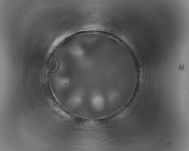X0000111821358200907231308
