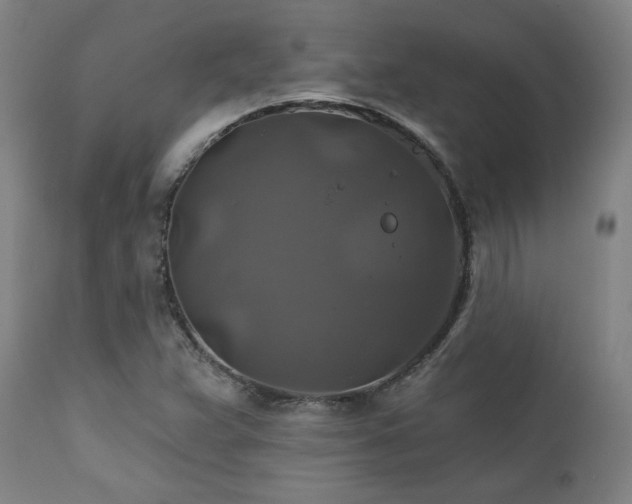 X0000111821359200907231308