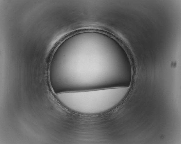 X0000111821360200907231308