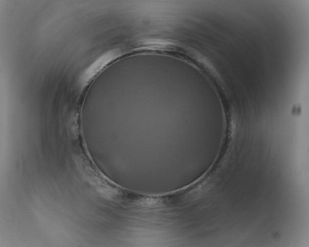 X0000111821362200907231308