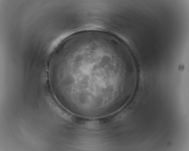 X0000111821363200907231308
