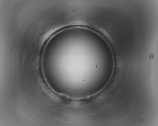 X0000111821364200907231308