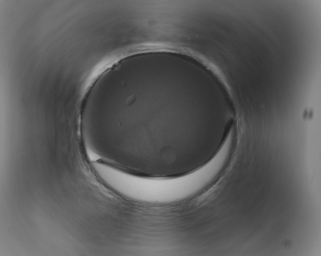 X0000111821365200907231308