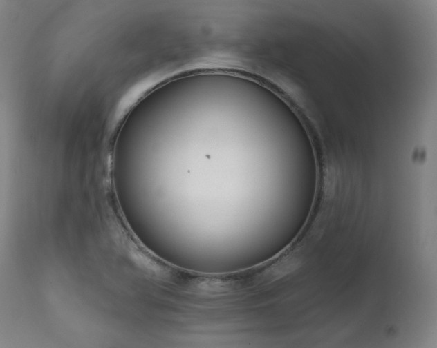 X0000111821366200907231308