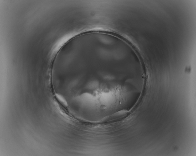 X0000111821367200907231308