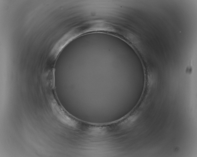 X0000111821369200907231308